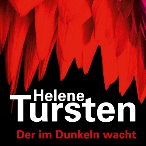 Der im Dunkeln wacht - Helene Tursten