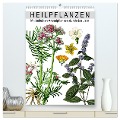 Heilpflanzen (hochwertiger Premium Wandkalender 2024 DIN A2 hoch), Kunstdruck in Hochglanz - Bilder Bilwissedition. Com Layout: Babette Reek