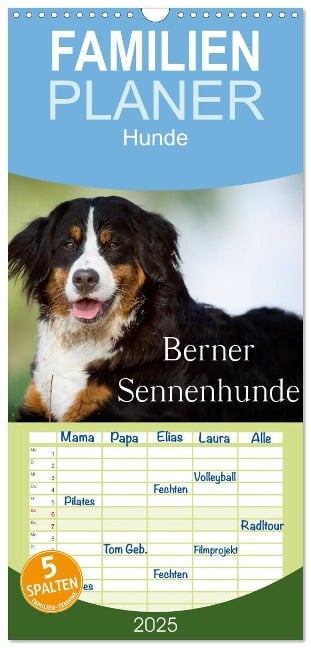 Familienplaner 2025 - Berner Sennenhunde mit 5 Spalten (Wandkalender, 21 x 45 cm) CALVENDO - Nicole Noack