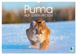 Cover-Bild zum Titel 'Puma: Auf leisen Pfoten (Wandkalender 2026 DIN A2 quer), CALVENDO Monatskalender' von 'Calvendo Calvendo'