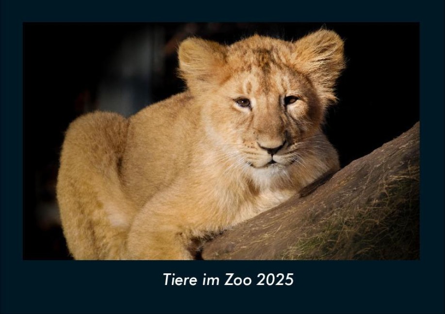 Tiere im Zoo 2025 Fotokalender DIN A4 - Tobias Becker