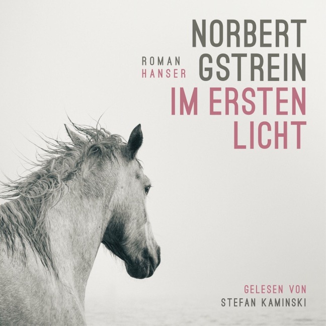 Im ersten Licht - Norbert Gstrein