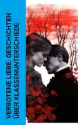 Verbotene Liebe: Geschichten über Klassenunterschiede - Jane Austen, Lena Christ, Daniel Defoe, Hermann Stehr, Charles Dickens