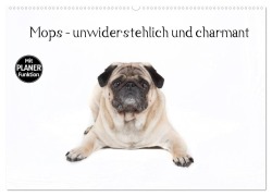 Cover-Bild zum Titel 'Mops - unwiderstehlich und charmant (Wandkalender 2026 DIN A2 quer), CALVENDO Monatskalender' von 'Fotodesign Verena Scholze'