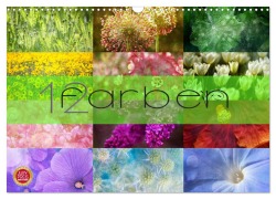 Cover-Bild zum Titel '12 Farben (Wandkalender 2026 DIN A3 quer), CALVENDO Monatskalender' von 'Martina Cross'