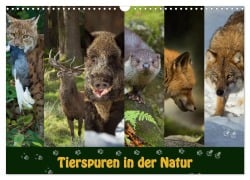 Tierspuren in der Natur (Wandkalender 2026 DIN A3 quer), CALVENDO Monatskalender - Johann Schörkhuber