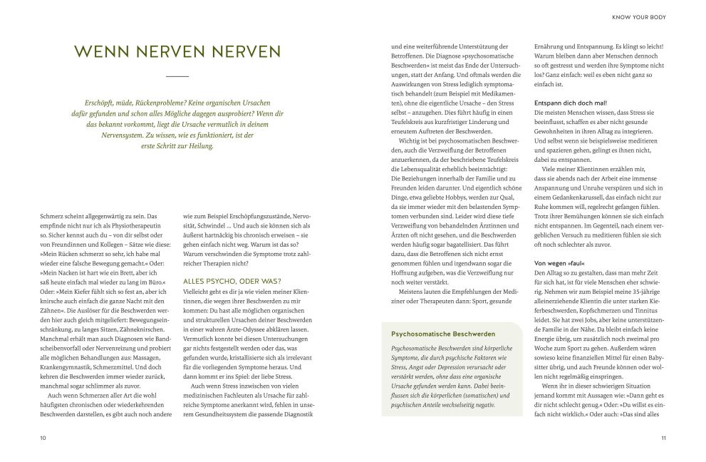 InsideView 5