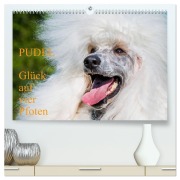 Cover-Bild zum Titel 'Pudel - Glück auf vier Pfoten (hochwertiger Premium Wandkalender 2026 DIN A2 quer), Kunstdruck in Hochglanz' von 'Sigrid Starick'