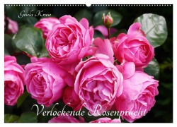Verlockende Rosenpracht (Wandkalender 2026 DIN A2 quer), CALVENDO Monatskalender - Gisela Kruse