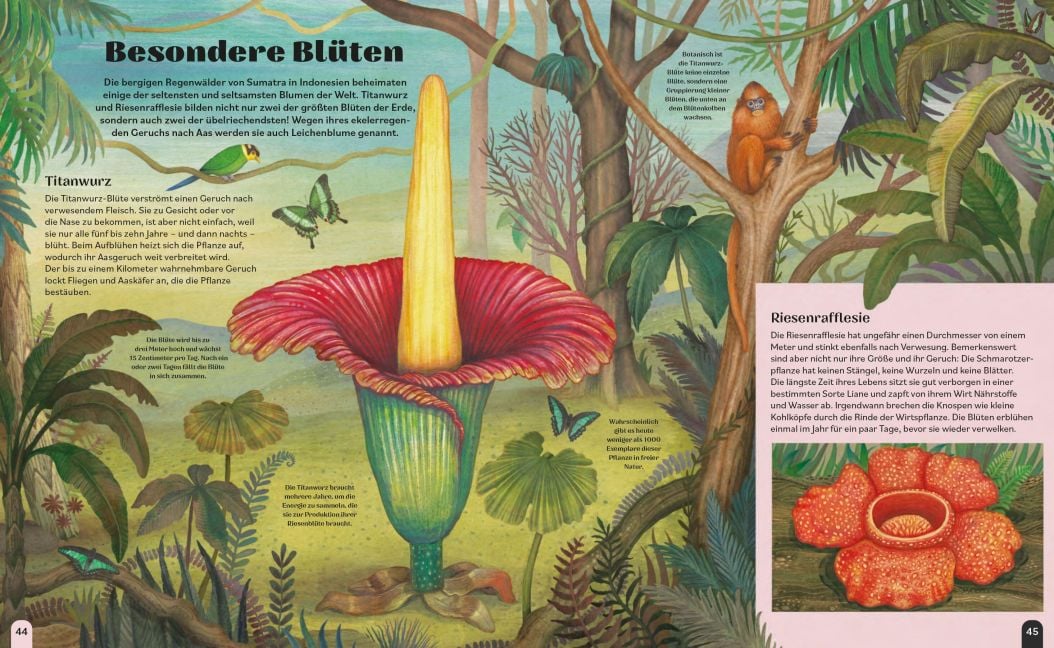 InsideView 3