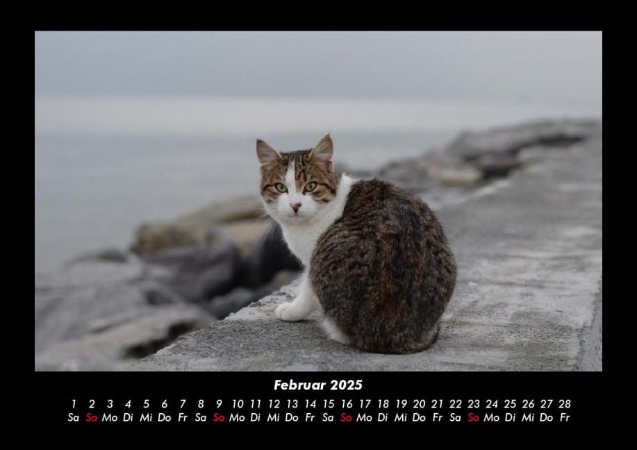InsideView 6