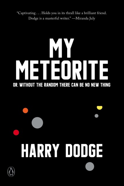 My Meteorite - Harry Dodge