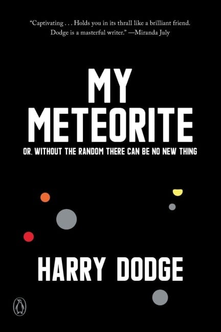 My Meteorite - Harry Dodge