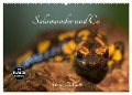 Salamander und Co. (Wandkalender 2024 DIN A2 quer), CALVENDO Monatskalender - Ursula Di Chito
