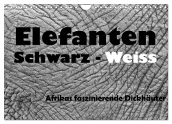 Cover-Bild zum Titel 'Elefanten Schwarz - Weiss (Wandkalender 2026 DIN A4 quer), CALVENDO Monatskalender' von 'Angelika Stern'