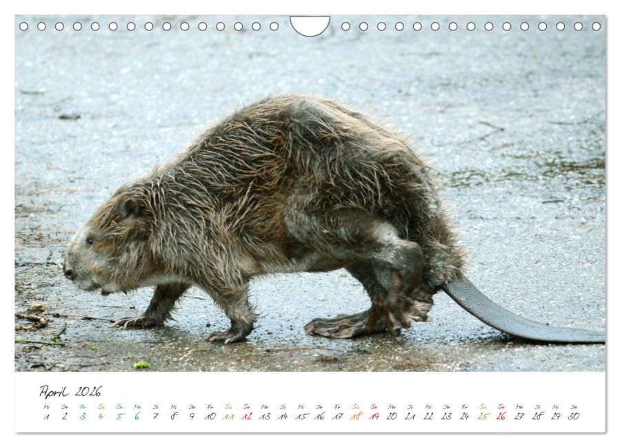 InsideView 9