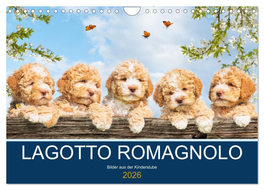 Lagotto Romagnolo - Bilder aus der Kinderstube (Wandkalender 2026 DIN A4 quer), CALVENDO Monatskalender - Sigrid Starick