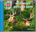 Cover-Bild zum Titel 'Folge 54: Wilde Wälder/Lebendiger Boden' von 'Was Ist Was'