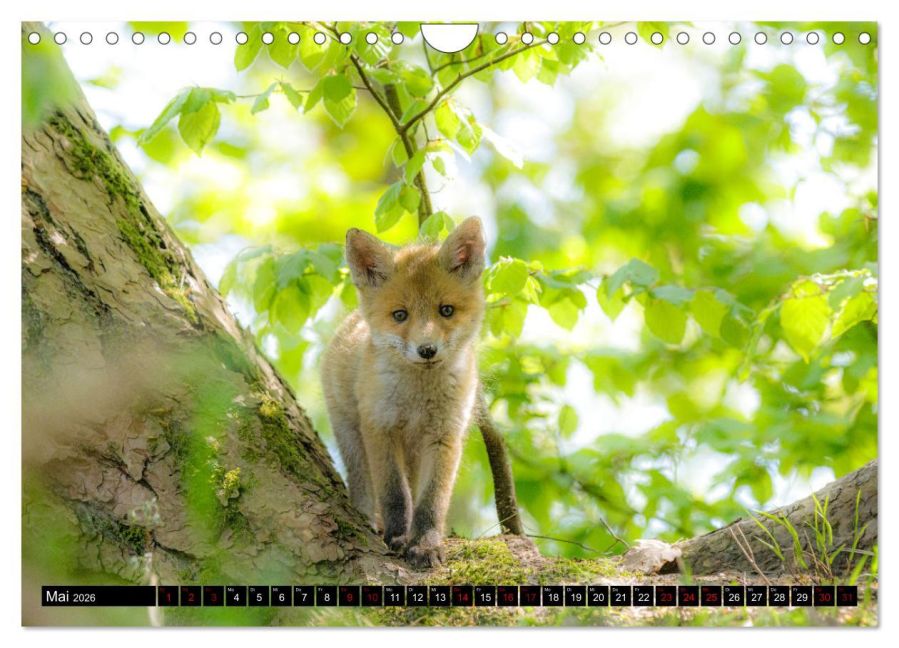 InsideView 10