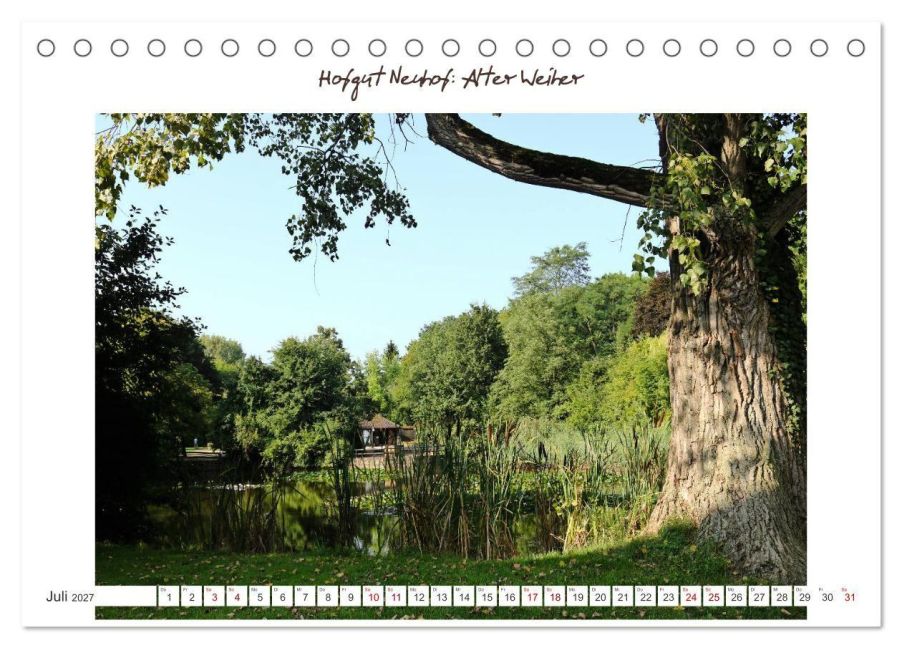 InsideView 12