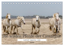 Cover-Bild zum Titel 'Die wilden Pferde der Camargue (Tischkalender 2026 DIN A5 quer), CALVENDO Monatskalender' von 'Brigitte Dürr'