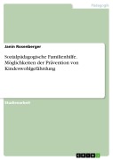 Cover-Bild zum Titel 'Sozialpädagogische Familienhilfe. Möglichkeiten der Prävention von Kindeswohlgefährdung' von 'Janin Rosenberger'