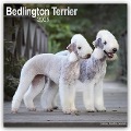 Bedlington Terrier 2025- 16-Monatskalender - Avonside Publishing Ltd.