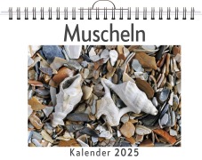 Cover-Bild zum Titel 'Muscheln' von 'Amelia Hartmann'