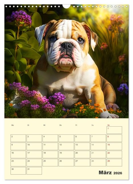 InsideView 8