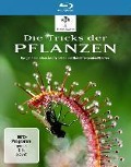 Cover-Bild zum Titel 'Die Tricks der Pflanzen' von 'Steve Nicholls, Steven Faux'