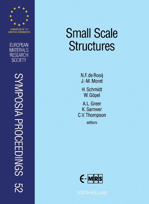 Small Scale Structures - 