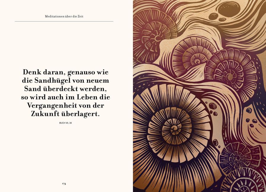 InsideView 8