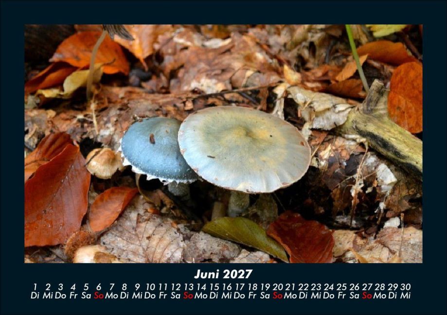 InsideView 10
