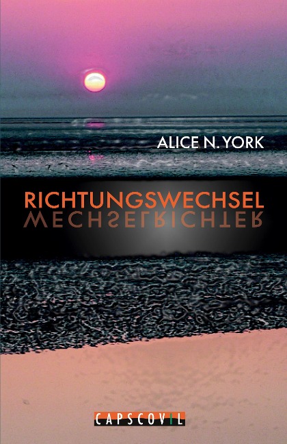 Richtungswechsel - Alice N. York