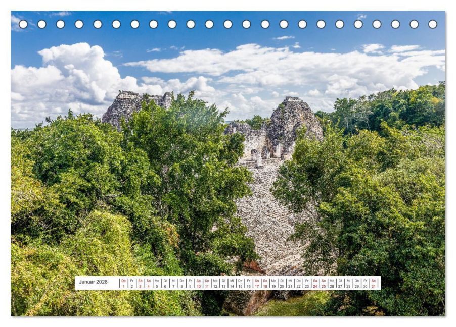 InsideView 6