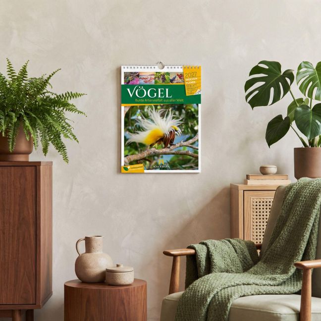 InsideView 58