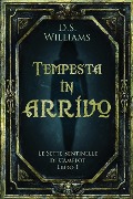 Cover-Bild zum Titel 'Tempesta in arrivo' von 'D. S. Williams'