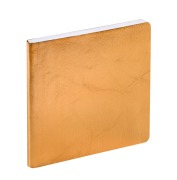 Cover-Bild zum Titel 'EXECUTIF COLOR ML Susan gold 2027' von ''