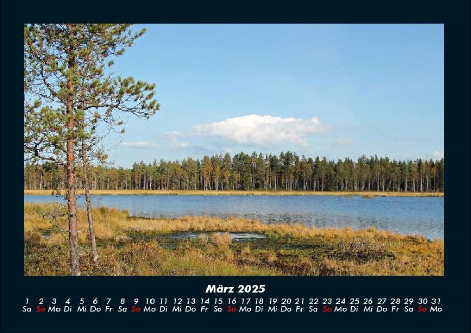 InsideView 7