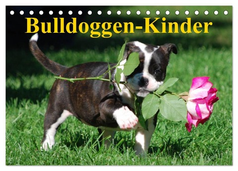 Bulldoggen-Kinder (Tischkalender 2025 DIN A5 quer), CALVENDO Monatskalender - Elisabeth Stanzer