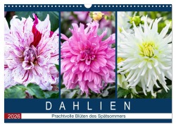 Dahlien - Prachtvolle Blüten des Spätsommers (Wandkalender 2026 DIN A3 quer), CALVENDO Monatskalender - Dieter Meyer