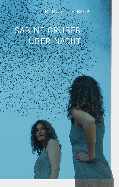 Über Nacht - Sabine Gruber