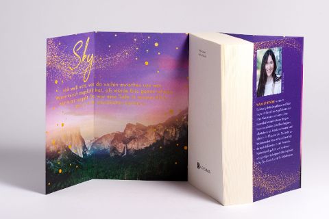InsideView 5