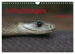 Cover-Bild zum Titel 'Giftschlangen, ganz nah dran (Wandkalender 2026 DIN A4 quer), CALVENDO Monatskalender' von 'Sigrid Enkemeier'