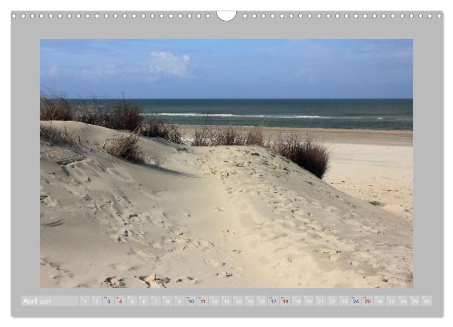 InsideView 9