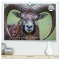 Emotionale Momente: Muffelwild. (hochwertiger Premium Wandkalender 2024 DIN A2 quer), Kunstdruck in Hochglanz - Ingo Gerlach