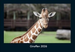 Cover-Bild zum Titel 'Giraffen 2026 Fotokalender DIN A4' von 'Tobias Becker'