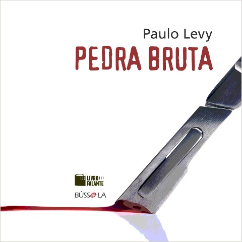 Pedra bruta - Paulo Levy
