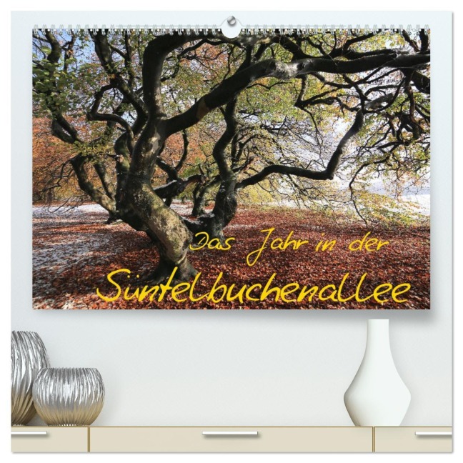 Das Jahr in der Süntelbuchenallee (hochwertiger Premium Wandkalender 2026 DIN A2 quer), Kunstdruck in Hochglanz - Bernhard Loewa