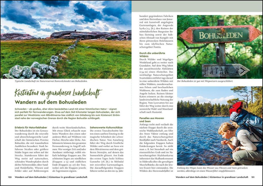 InsideView 11